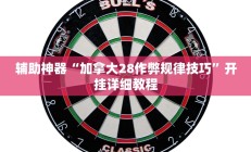 辅助神器“加拿大28作弊规律技巧”开挂详细教程