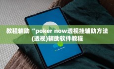 教程辅助“poker now透视挂辅助方法(透视)辅助软件教程
