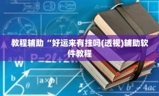 教程辅助“好运来有挂吗(透视)辅助软件教程