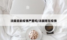 法国目前疫情严重吗／法国现在疫情
