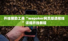 开挂辅助工具“wepoker网页版透视挂”详细开挂教程