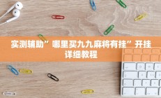 实测辅助”新人皇开挂神器”开挂详细教程