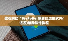 教程辅助“WePoKer辅助挂透视软件(透视)辅助软件教程