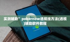 实测辅助”新人皇开挂教程(透视)辅助软件教程