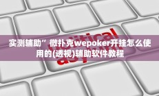 实测辅助”湖南跑胡子技巧十句口诀必胜技巧(透视)辅助软件教程