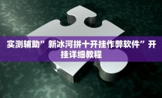 实测辅助”新冰河拼十开挂作弊软件”开挂详细教程