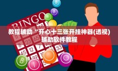 教程辅助“开心十三张开挂神器(透视)辅助软件教程