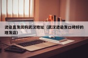 烫染直发团购武汉地址（武汉烫染发口碑好的理发店）