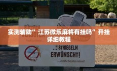 实测辅助”江苏微乐麻将有挂吗”开挂详细教程
