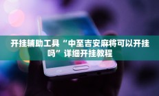 辅助神器“新金龙透视挂”开挂详细教程