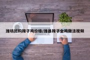 潍坊团购辣子鸡价格/潍县辣子全鸡做法视频