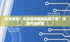 实测辅助”中至赣牌圈辅助器下载”详细开挂教程