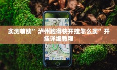 实测辅助”七彩佬腌菜开挂怎么使用的(透视)辅助软件教程