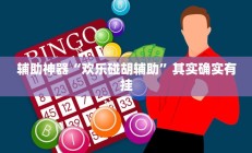 辅助神器“欢乐碰胡辅助”其实确实有挂