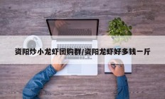资阳炒小龙虾团购群/资阳龙虾好多钱一斤