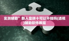 实测辅助”新人皇拼十可以开挂吗(透视)辅助软件教程