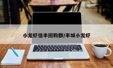 小龙虾信丰团购群/丰城小龙虾