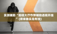 实测辅助”墨韵麻趣怎么开挂”开挂详细教程