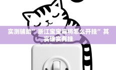 实测辅助”浙江宝宝麻将怎么开挂”其实确实有挂