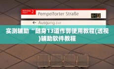 实测辅助“随身13道作弊使用教程(透视)辅助软件教程