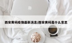 西安黄码疫情最新消息／西安黄码是什么意思