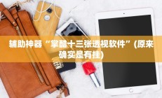 辅助神器“掌酷十三张透视软件”(原来确实是有挂)