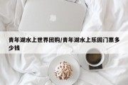 青年湖水上世界团购/青年湖水上乐园门票多少钱