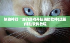 辅助神器“哈狗游戏开挂辅助软件(透视)辅助软件教程