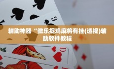 实测辅助”方片十三张开挂教程(透视)辅助软件教程
