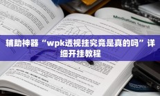 辅助神器“wpk透视挂究竟是真的吗”详细开挂教程