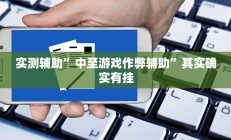 实测辅助”中至游戏作弊辅助”其实确实有挂
