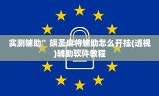 实测辅助”旗圣麻将辅助怎么开挂(透视)辅助软件教程