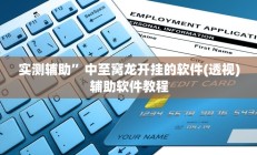实测辅助”中至窝龙开挂的软件(透视)辅助软件教程