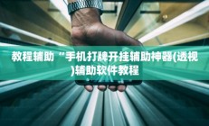 教程辅助“手机打牌开挂辅助神器(透视)辅助软件教程