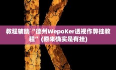 实测辅助”微乐河南麻将开挂怎么买(透视)辅助软件教程