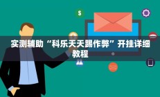 实测辅助“科乐天天踢作弊”开挂详细教程