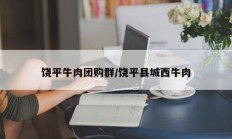 饶平牛肉团购群/饶平县城西牛肉