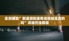 实测辅助”新道游到底有透视挂是真的吗”详细开挂教程