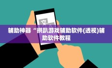 辅助神器“拱趴游戏辅助软件(透视)辅助软件教程