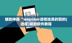 辅助神器“wepoker透视挂真的假的(透视)辅助软件教程