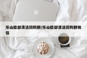 乐山脸部清洁团购群/乐山脸部清洁团购群微信