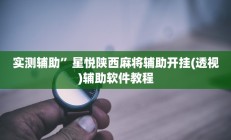 实测辅助”星悦陕西麻将辅助开挂(透视)辅助软件教程
