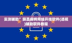 实测辅助”wepoker透视方法”开挂详细教程