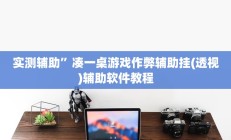 实测辅助“人海大厅透视开挂”开挂详细教程