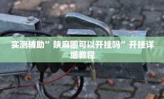 实测辅助”陕麻圈可以开挂吗”开挂详细教程