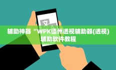 辅助神器“WPK德州透视辅助器(透视)辅助软件教程