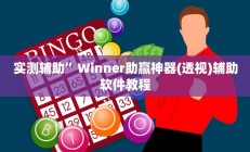 实测辅助”Winner助赢神器(透视)辅助软件教程