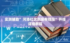 实测辅助”河洛杠次到底有挂没”开挂详细教程