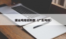 潮汕鸡排团购群（广东鸡排）