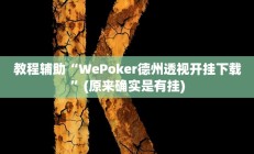 开挂辅助工具“炫酷众娱透视”其实确实有挂
